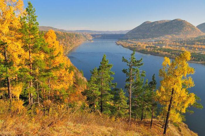 Koja je rijeka duža - Volga ili Jenisei? Značajke dviju rijeka