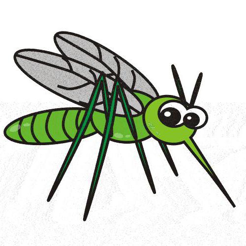 značenje frazeologije, nos komarac ne potkopava